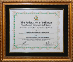 FPCCI Exporter Award Certificate 2008-2009