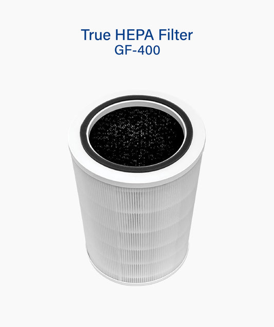 True Hepa Filter (GF-400)